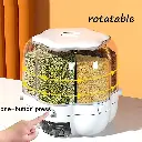 61tAT4BknrL._AC_UF1000,1000_QL80_.webp